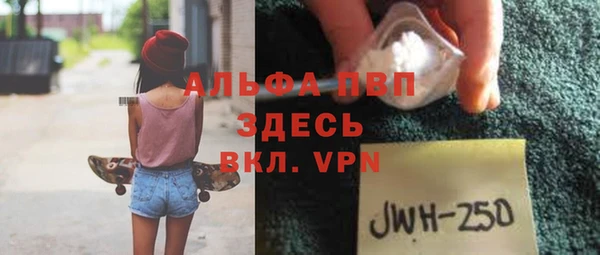 МДПВ Каменка