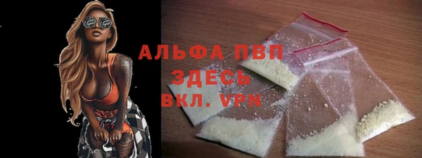 амф Каменногорск