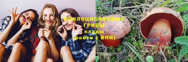 амф Каменногорск