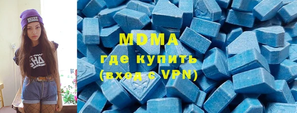 МДПВ Каменка