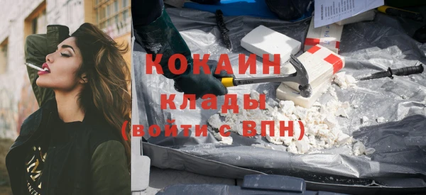 МДПВ Каменка