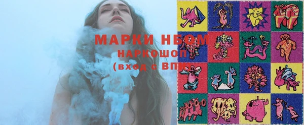 МДПВ Каменка