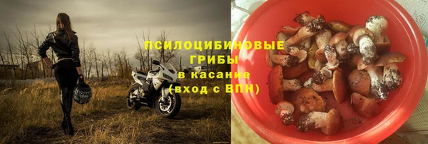 МДПВ Каменка